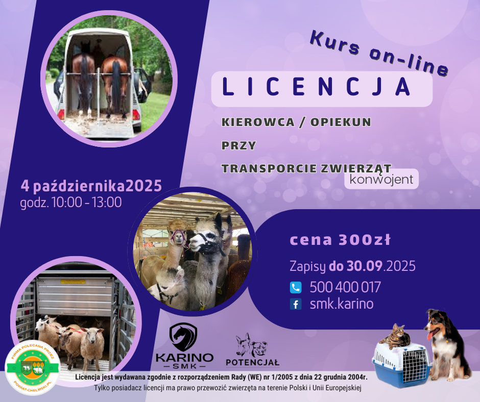 kurs